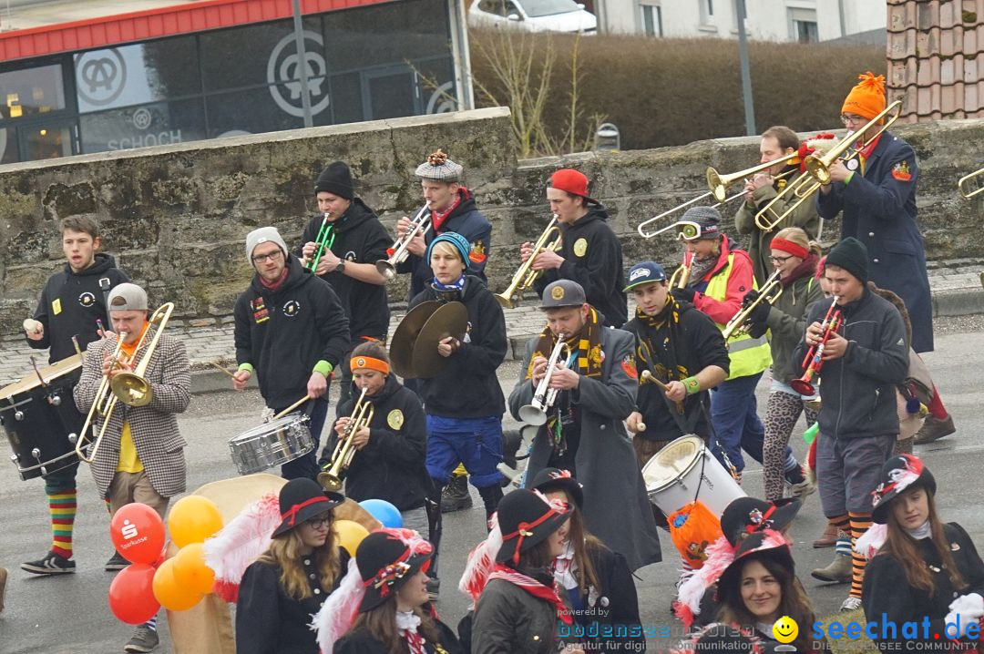 Fasnetsumzug - Fasching: Stockach am Bodensee, 28.02.2017