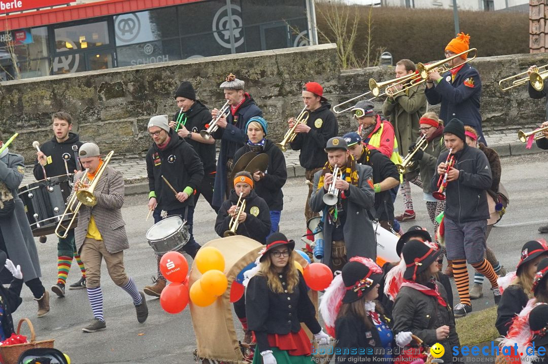 Fasnetsumzug - Fasching: Stockach am Bodensee, 28.02.2017