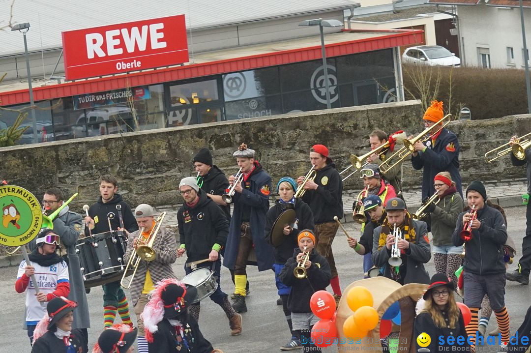 Fasnetsumzug - Fasching: Stockach am Bodensee, 28.02.2017