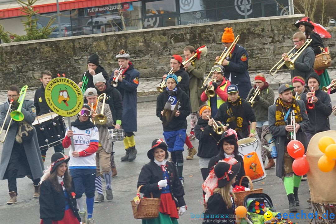 Fasnetsumzug - Fasching: Stockach am Bodensee, 28.02.2017