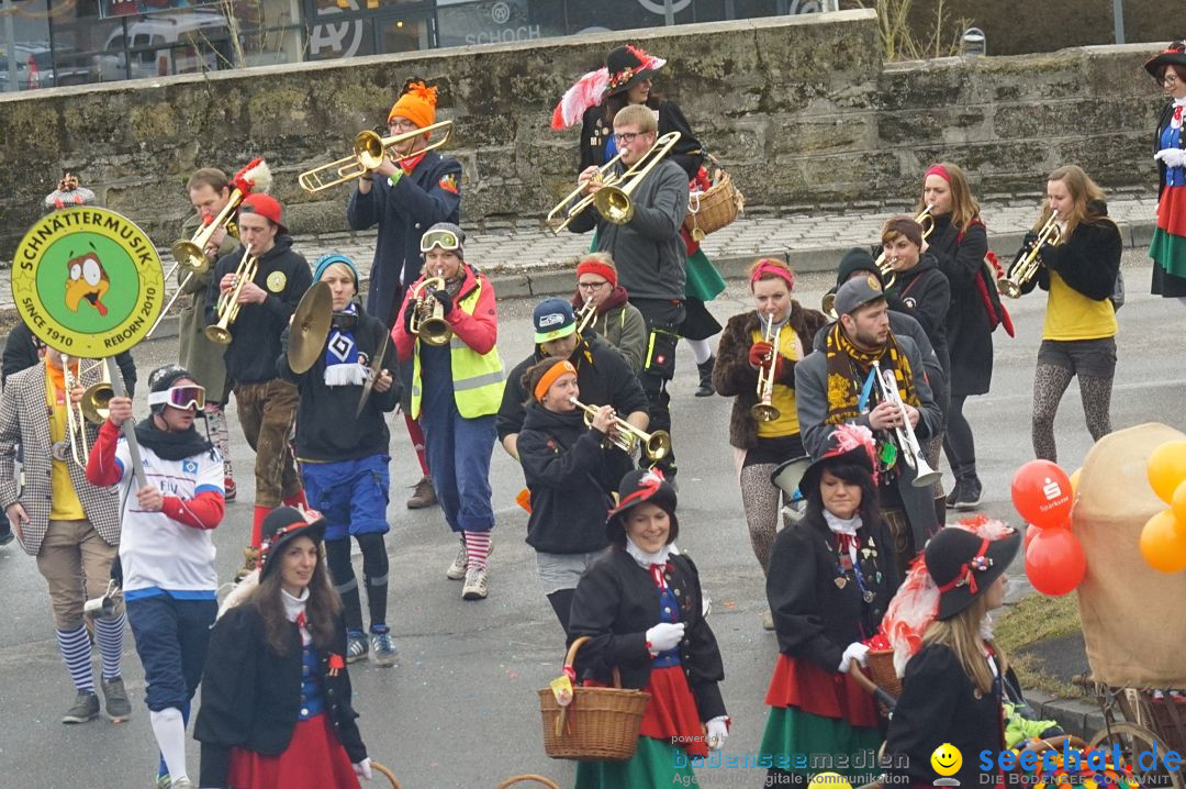 Fasnetsumzug - Fasching: Stockach am Bodensee, 28.02.2017