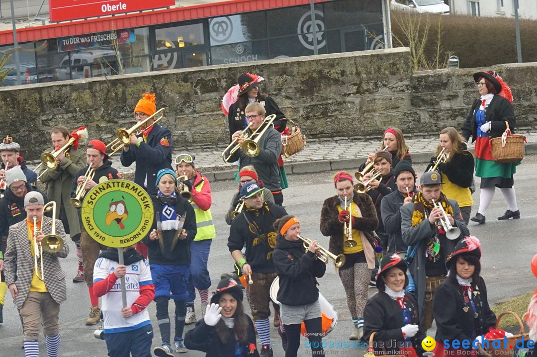 Fasnetsumzug - Fasching: Stockach am Bodensee, 28.02.2017