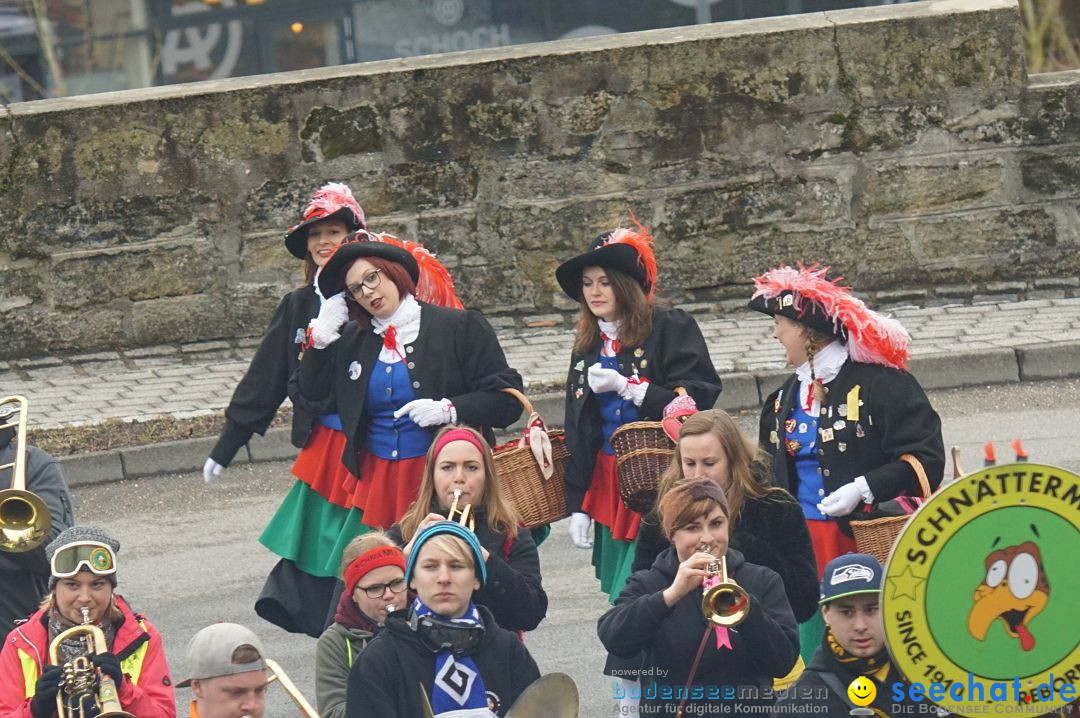 Fasnetsumzug - Fasching: Stockach am Bodensee, 28.02.2017