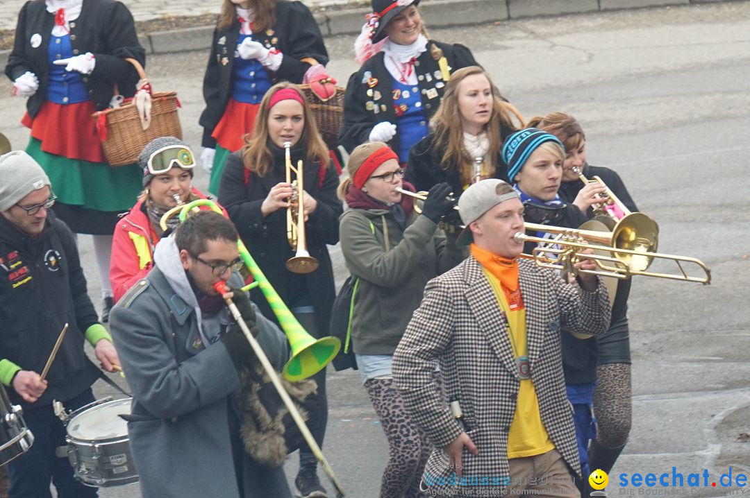 Fasnetsumzug - Fasching: Stockach am Bodensee, 28.02.2017