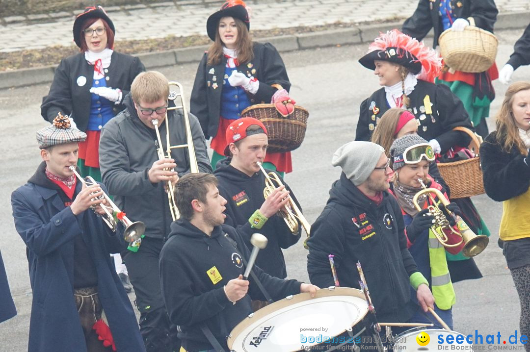 Fasnetsumzug - Fasching: Stockach am Bodensee, 28.02.2017