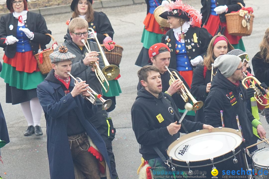 Fasnetsumzug - Fasching: Stockach am Bodensee, 28.02.2017