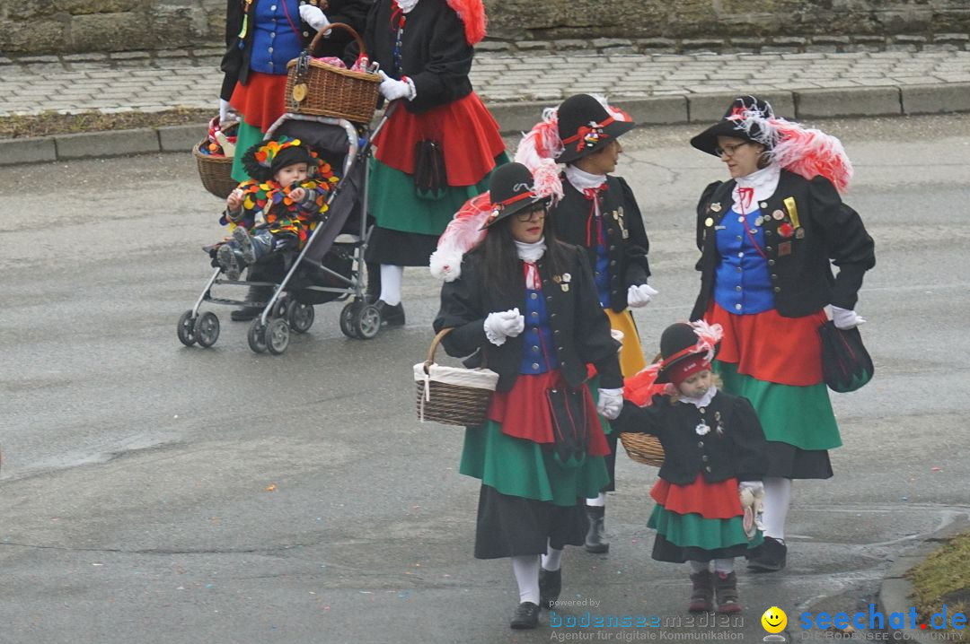 Fasnetsumzug - Fasching: Stockach am Bodensee, 28.02.2017