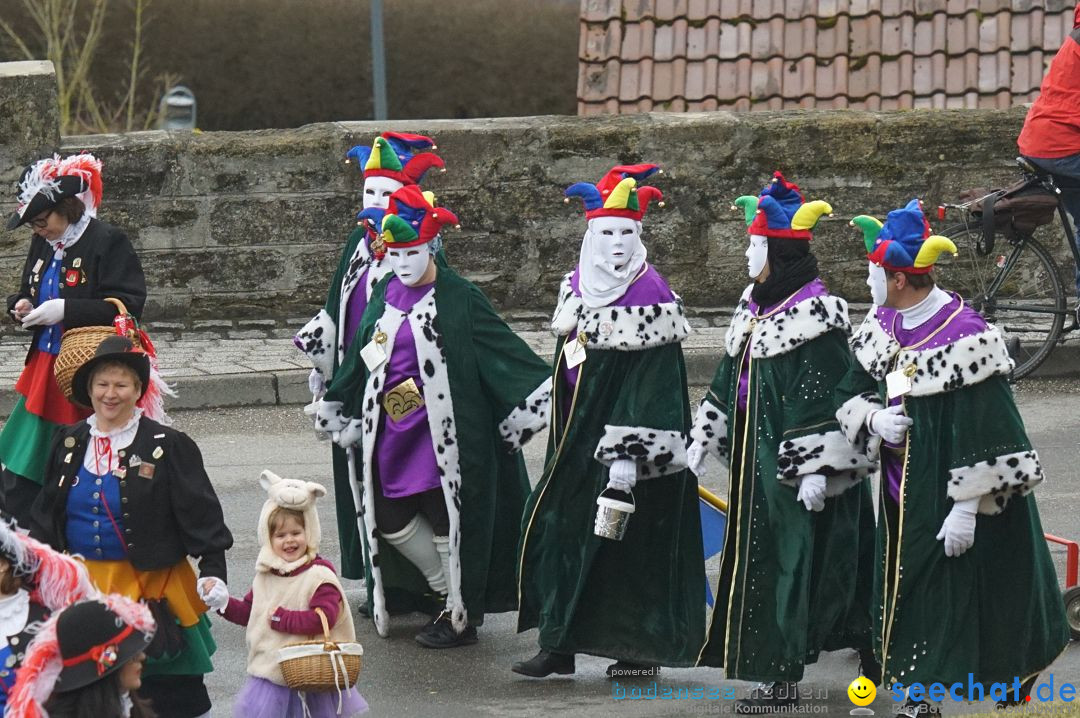 Fasnetsumzug - Fasching: Stockach am Bodensee, 28.02.2017