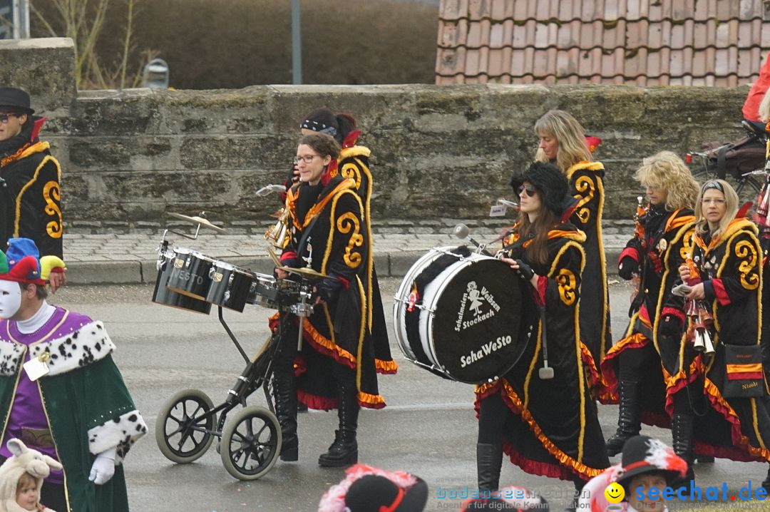 Fasnetsumzug - Fasching: Stockach am Bodensee, 28.02.2017