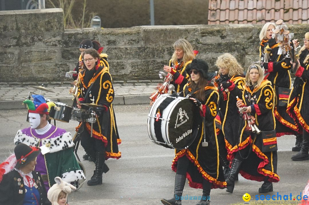 Fasnetsumzug - Fasching: Stockach am Bodensee, 28.02.2017