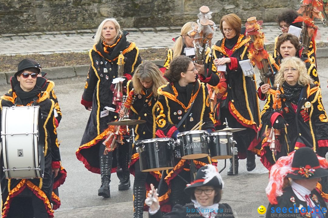 Fasnetsumzug - Fasching: Stockach am Bodensee, 28.02.2017