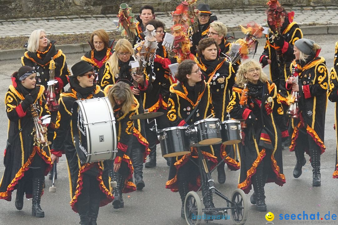 Fasnetsumzug - Fasching: Stockach am Bodensee, 28.02.2017