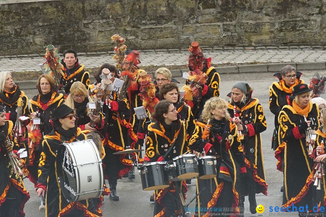 Fasnetsumzug - Fasching: Stockach am Bodensee, 28.02.2017