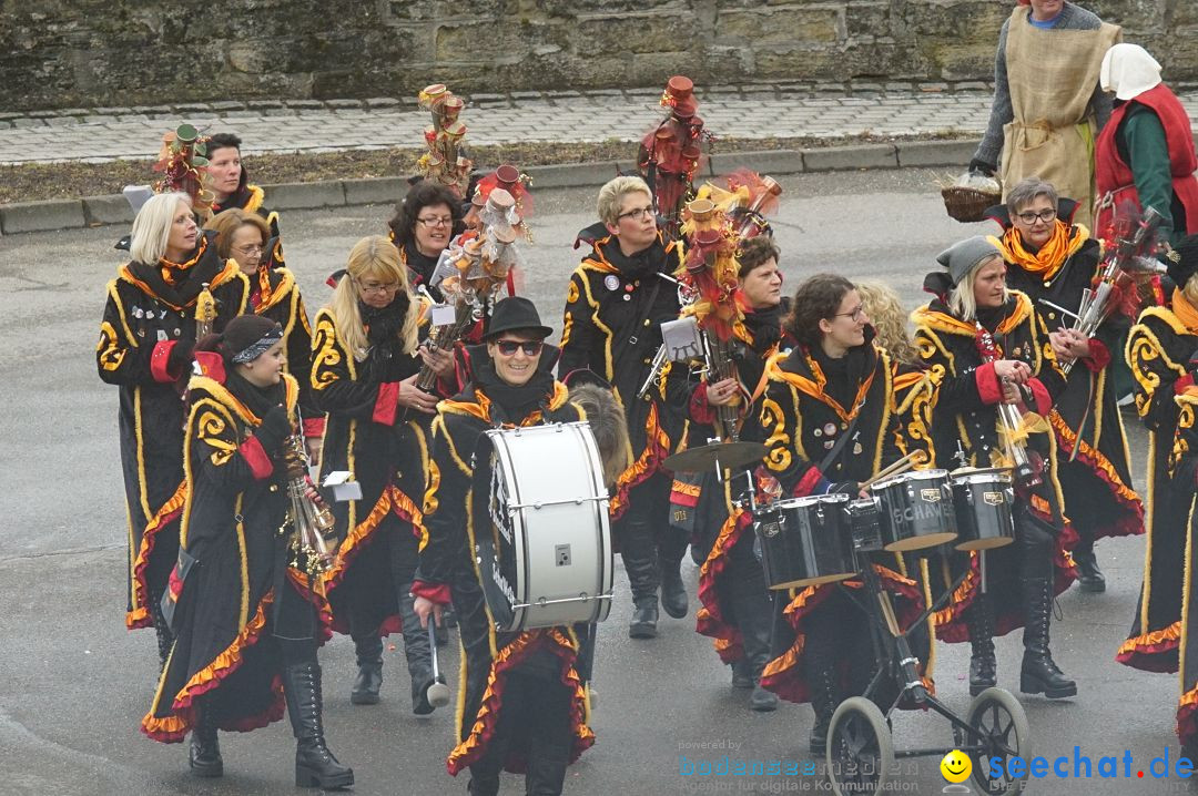 Fasnetsumzug - Fasching: Stockach am Bodensee, 28.02.2017