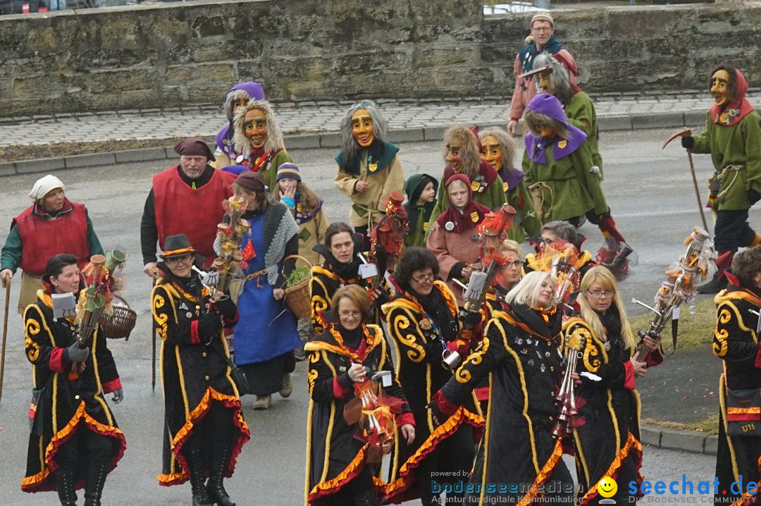 Fasnetsumzug - Fasching: Stockach am Bodensee, 28.02.2017