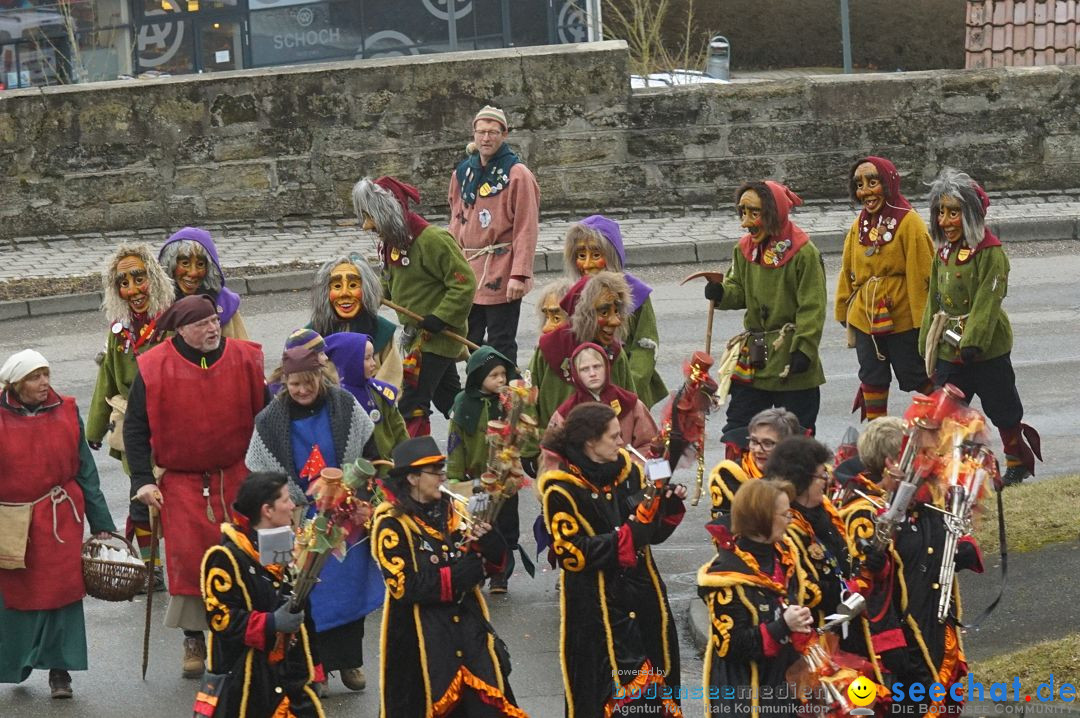 Fasnetsumzug - Fasching: Stockach am Bodensee, 28.02.2017