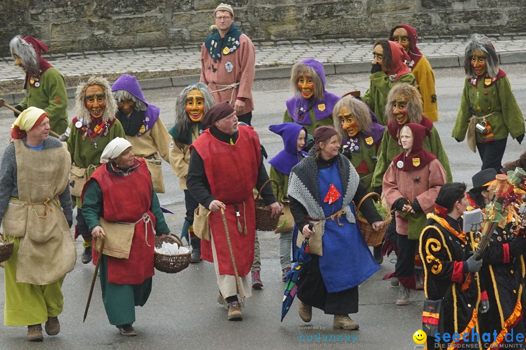 Fasnetsumzug - Fasching: Stockach am Bodensee, 28.02.2017