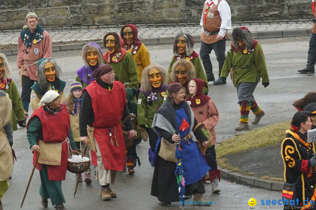 Fasnetsumzug - Fasching: Stockach am Bodensee, 28.02.2017