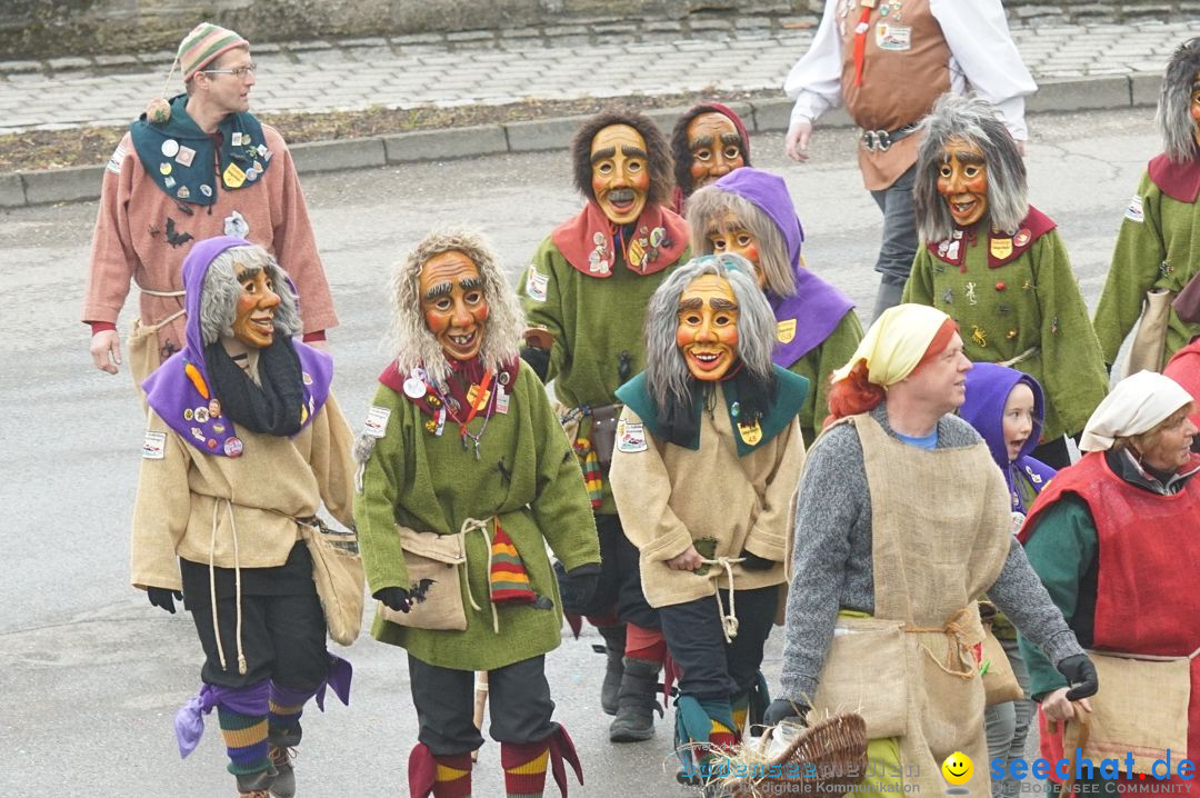 Fasnetsumzug - Fasching: Stockach am Bodensee, 28.02.2017