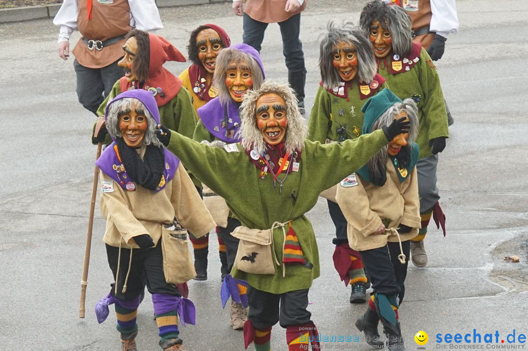 Fasnetsumzug - Fasching: Stockach am Bodensee, 28.02.2017