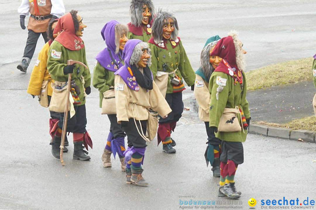 Fasnetsumzug - Fasching: Stockach am Bodensee, 28.02.2017