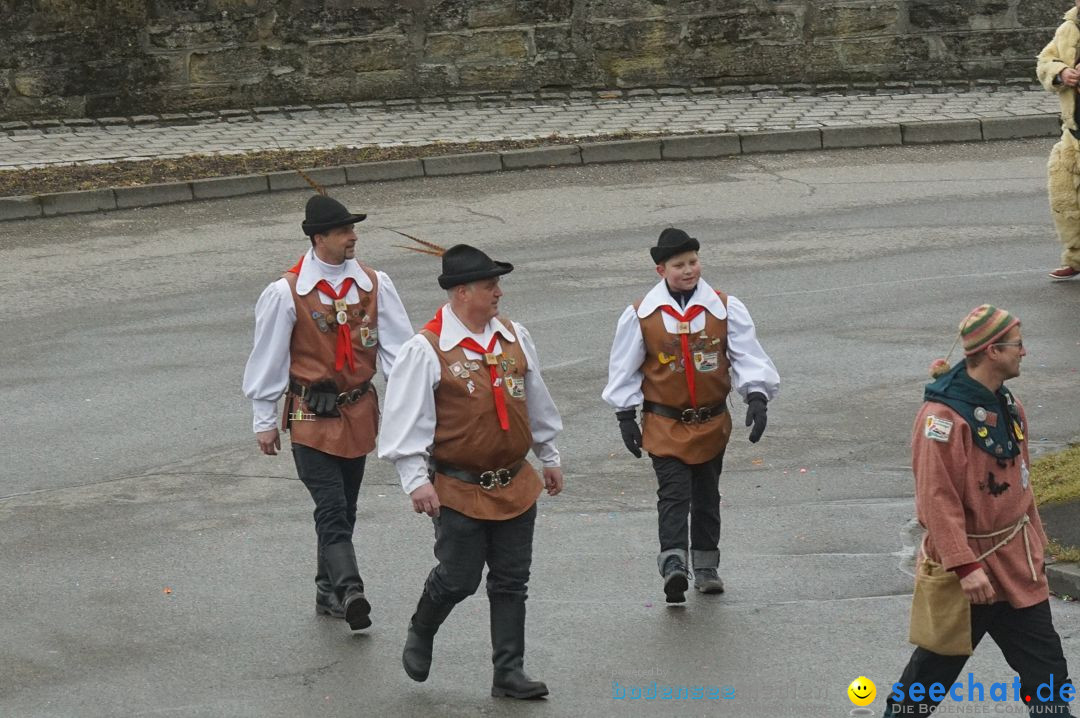 Fasnetsumzug - Fasching: Stockach am Bodensee, 28.02.2017