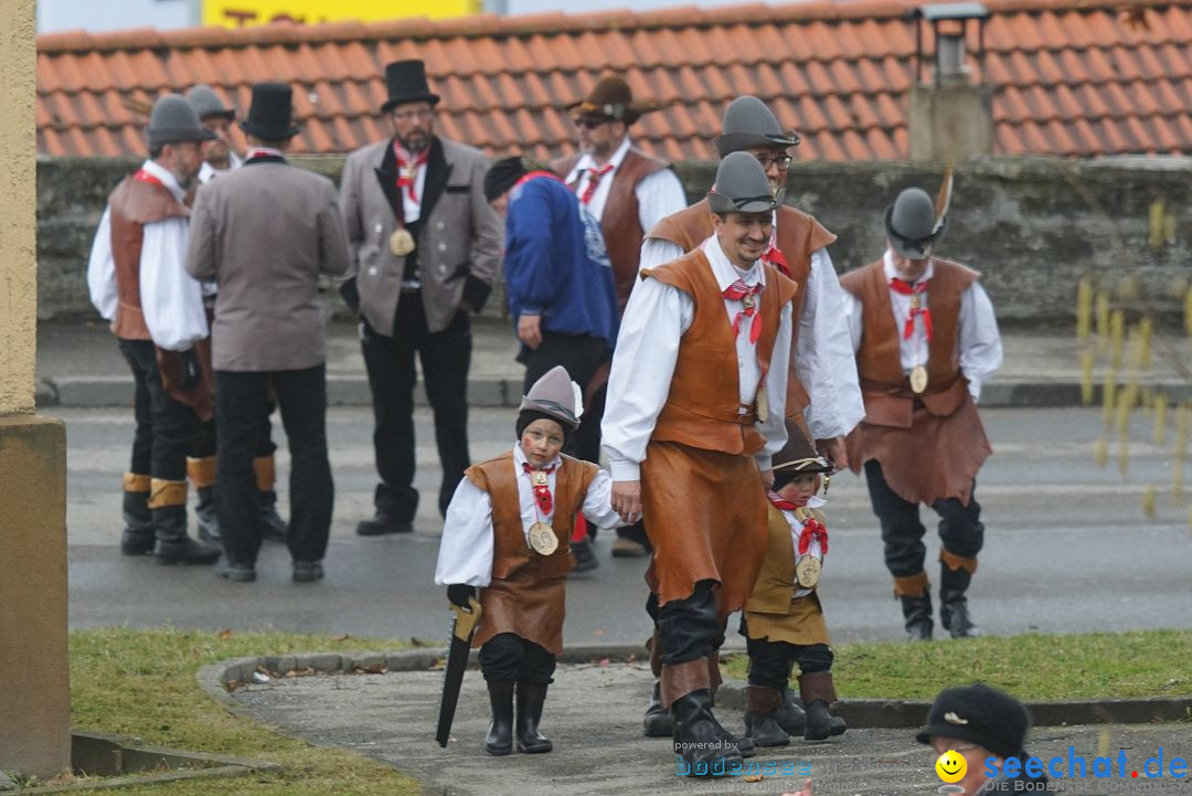 Fasnetsumzug - Fasching: Stockach am Bodensee, 28.02.2017