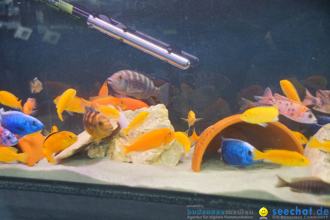 AQUA-FISCH - Internationale Aquaristik-Messe: Friedrichshafen, 06.03.2017