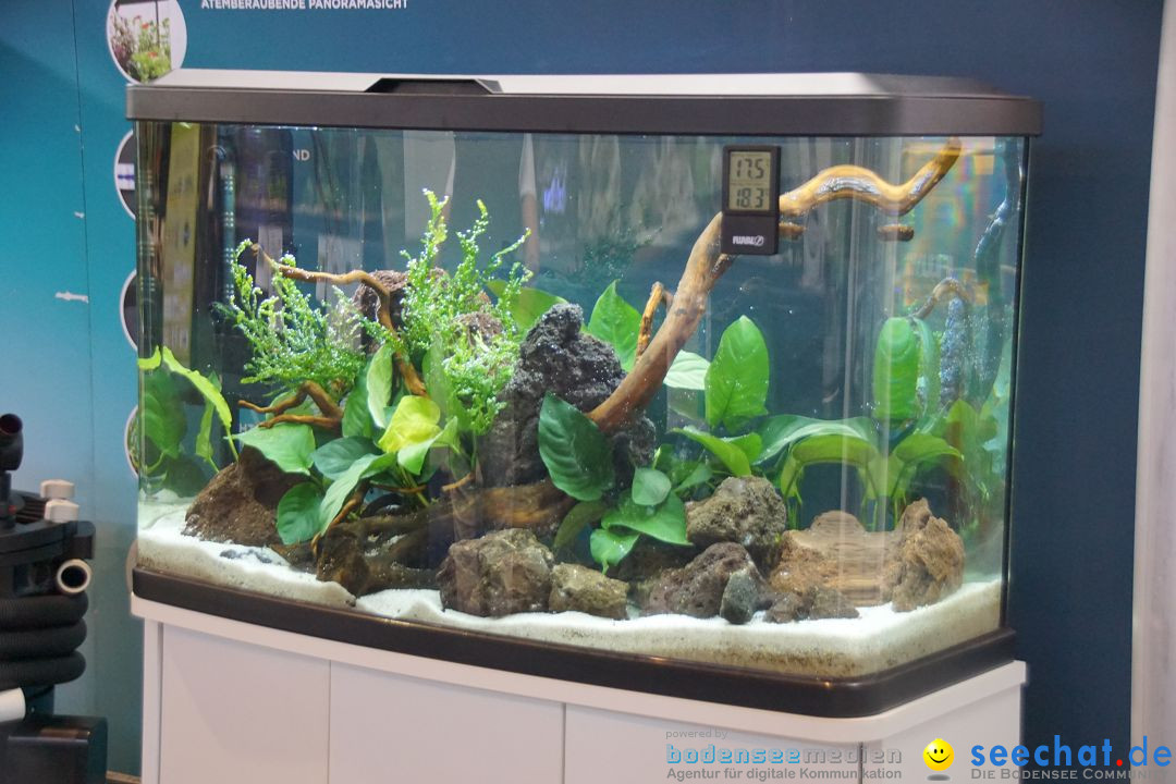 AQUA-FISCH - Internationale Aquaristik-Messe: Friedrichshafen, 06.03.2017