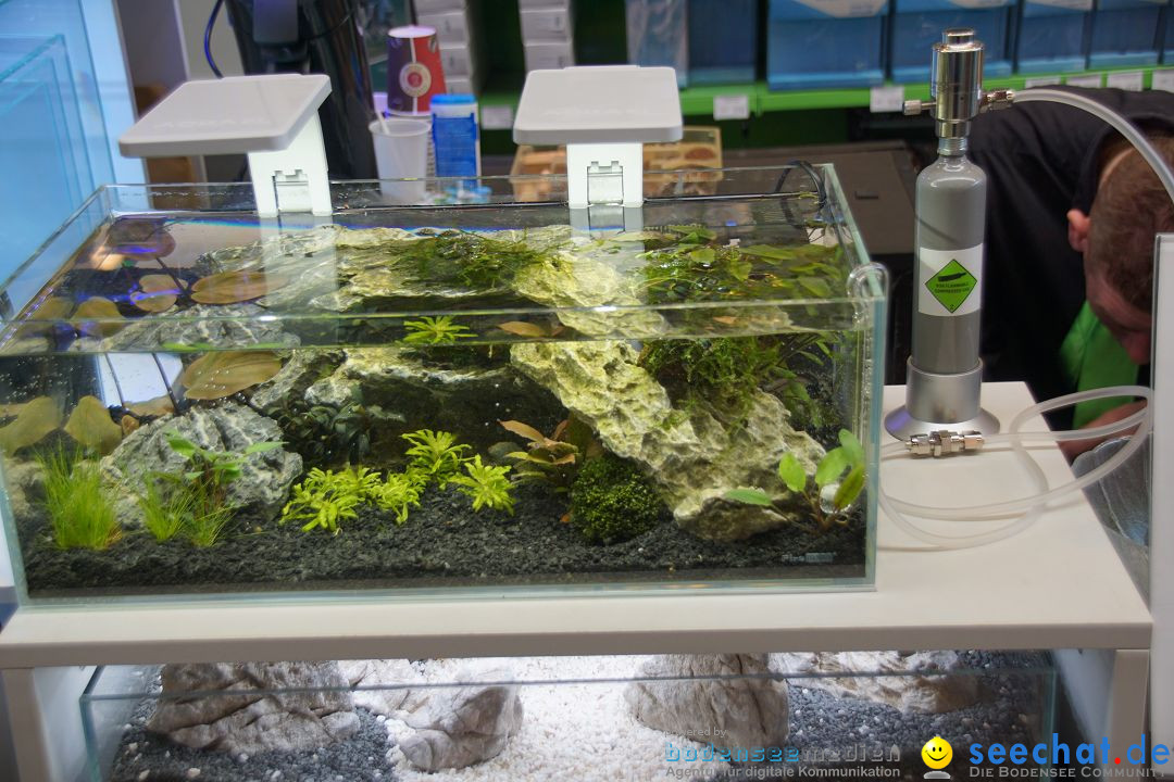 AQUA-FISCH - Internationale Aquaristik-Messe: Friedrichshafen, 06.03.2017