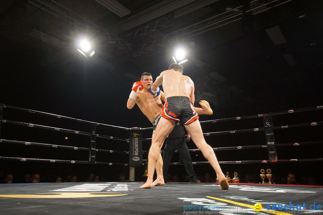 Bodensee-Fightnight-Uhldingen-18-03-2017-Bodensee_Community-seechat_de-_540_.JPG