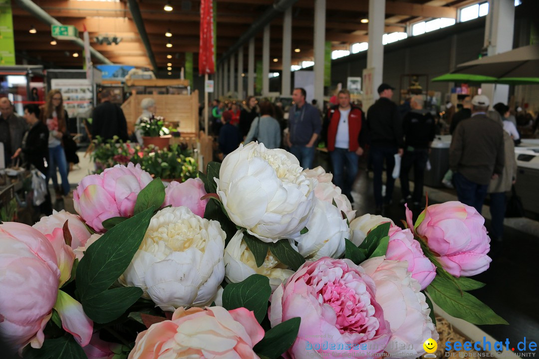 IBO-Friedrichshafen-25-03-2017-Bodensee-Community-SEECHAT_de-IMG_3881.JPG