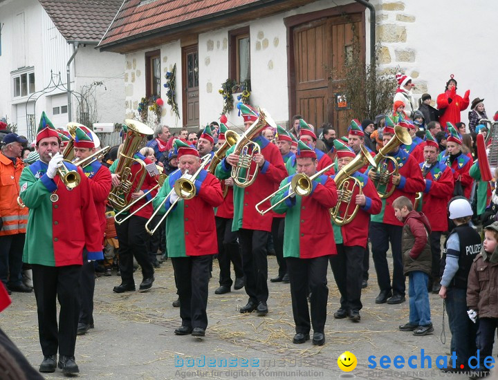 Narrenumzug: Eigeltingen, 24.01.2010