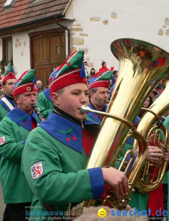 Narrenumzug: Eigeltingen, 24.01.2010