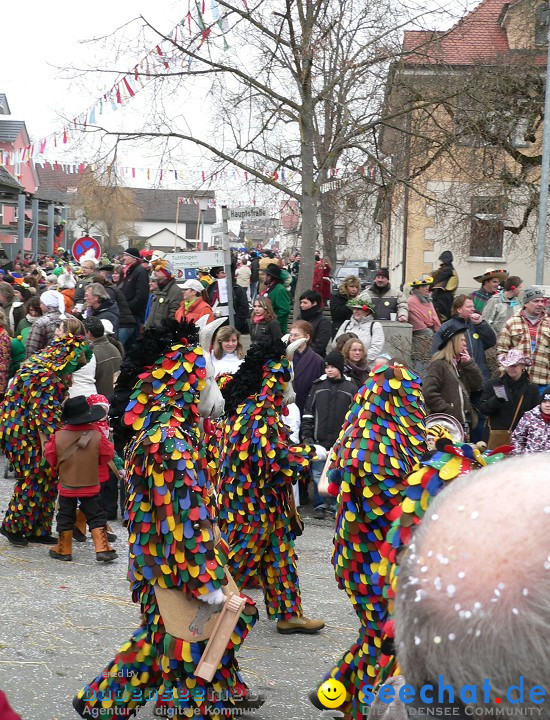 Narrenumzug: Eigeltingen, 24.01.2010