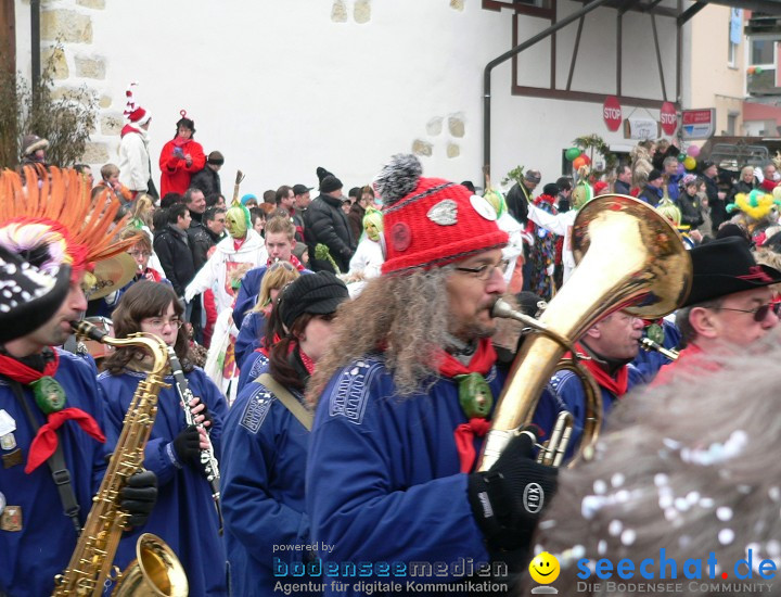 Narrenumzug: Eigeltingen, 24.01.2010