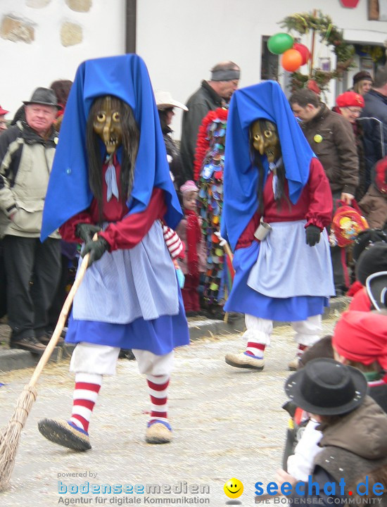 Narrenumzug: Eigeltingen, 24.01.2010