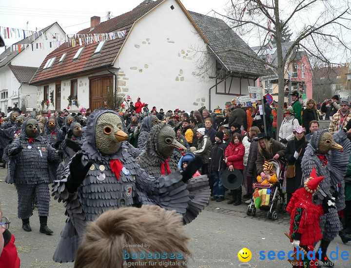 Narrenumzug: Eigeltingen, 24.01.2010