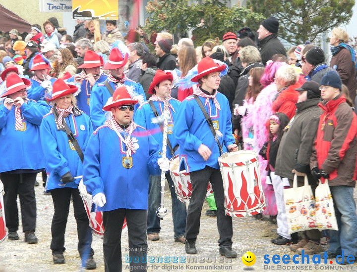 Narrenumzug: Eigeltingen, 24.01.2010