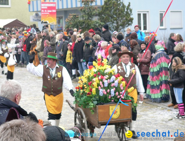 Narrenumzug: Eigeltingen, 24.01.2010