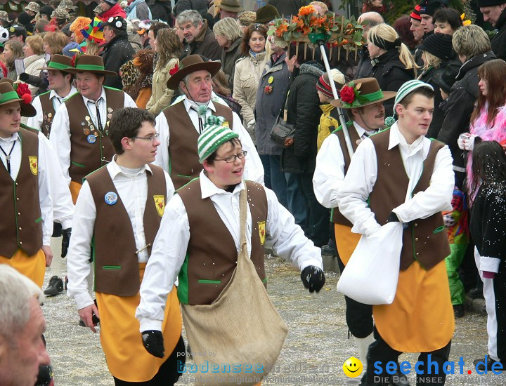 Narrenumzug: Eigeltingen, 24.01.2010