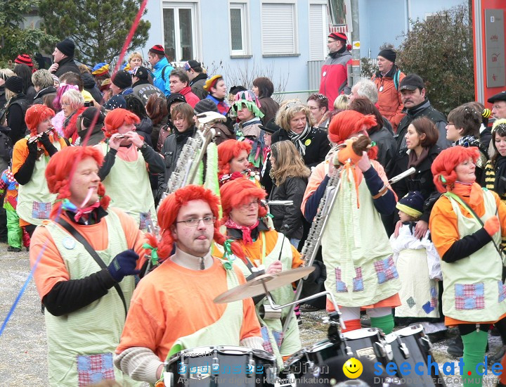 Narrenumzug: Eigeltingen, 24.01.2010