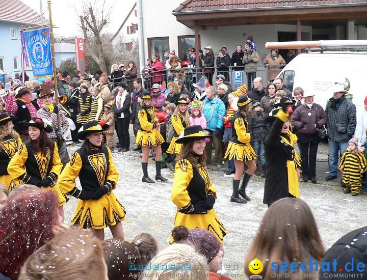 Narrenumzug: Eigeltingen, 24.01.2010