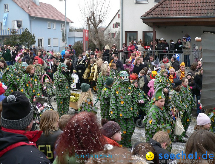 Narrenumzug: Eigeltingen, 24.01.2010