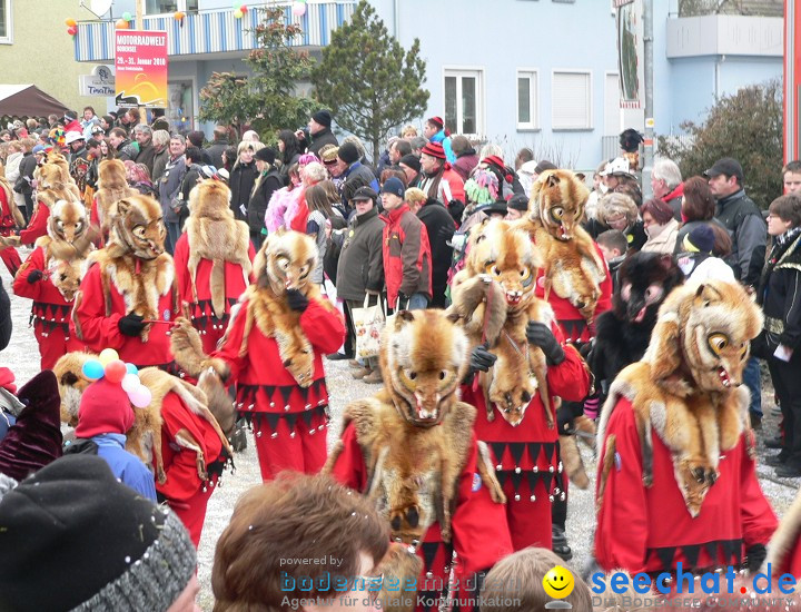 Narrenumzug: Eigeltingen, 24.01.2010