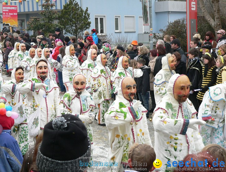 Narrenumzug: Eigeltingen, 24.01.2010