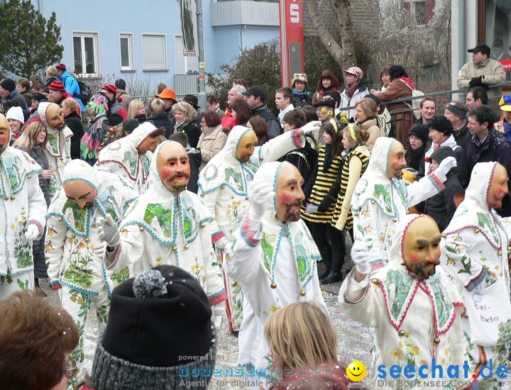 Narrenumzug: Eigeltingen, 24.01.2010