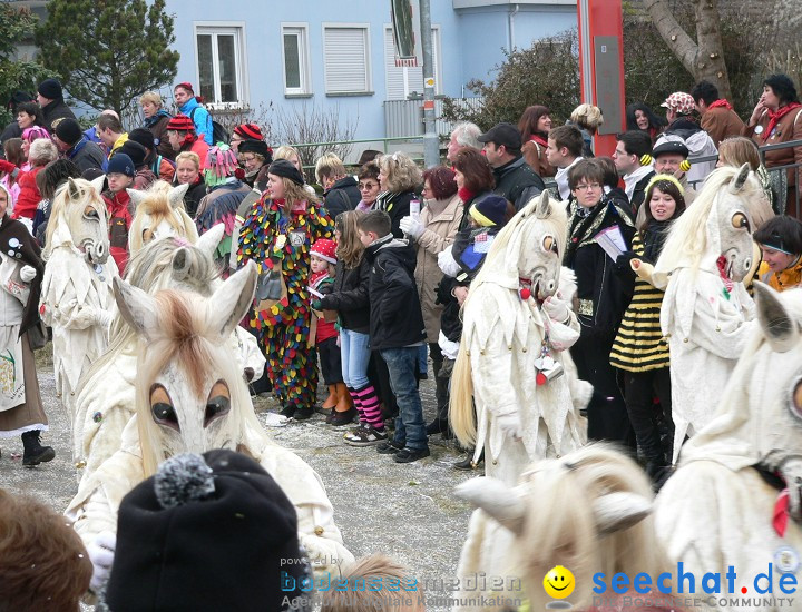 Narrenumzug: Eigeltingen, 24.01.2010