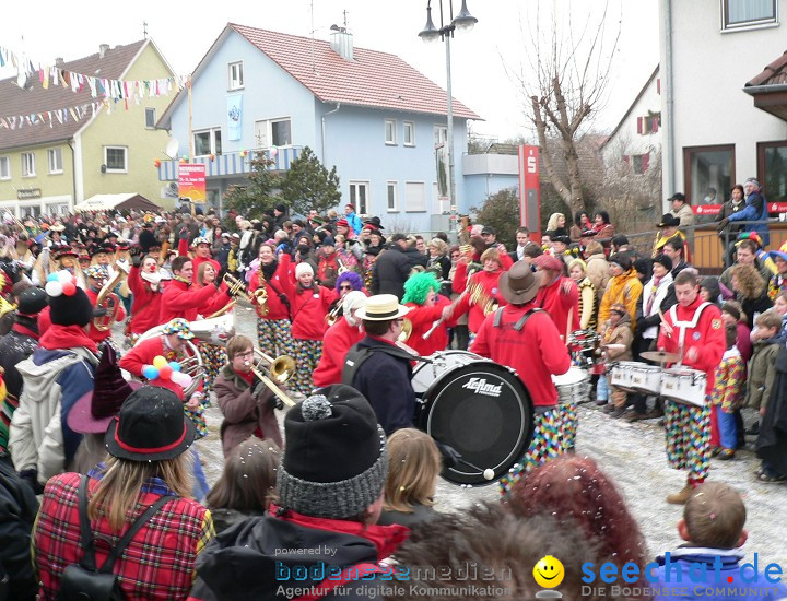 Narrenumzug: Eigeltingen, 24.01.2010