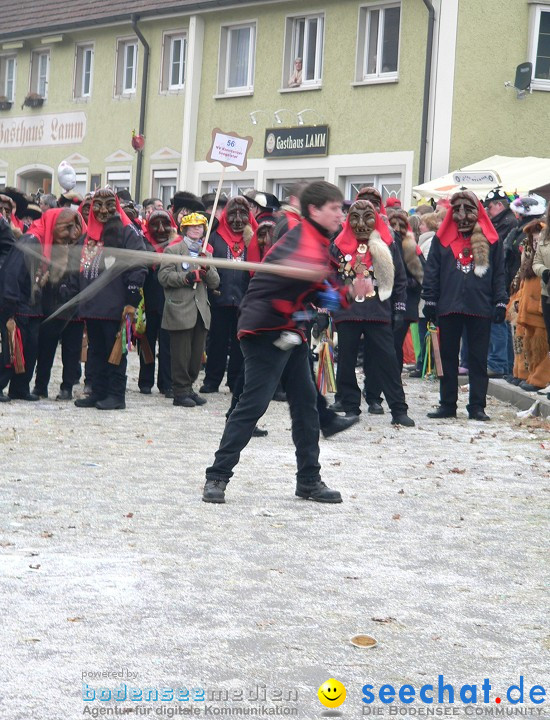 Narrenumzug: Eigeltingen, 24.01.2010